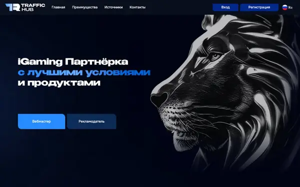 Traffichub.group — скриншот